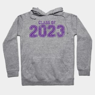 Varsity Purple Class of 2023 Hoodie